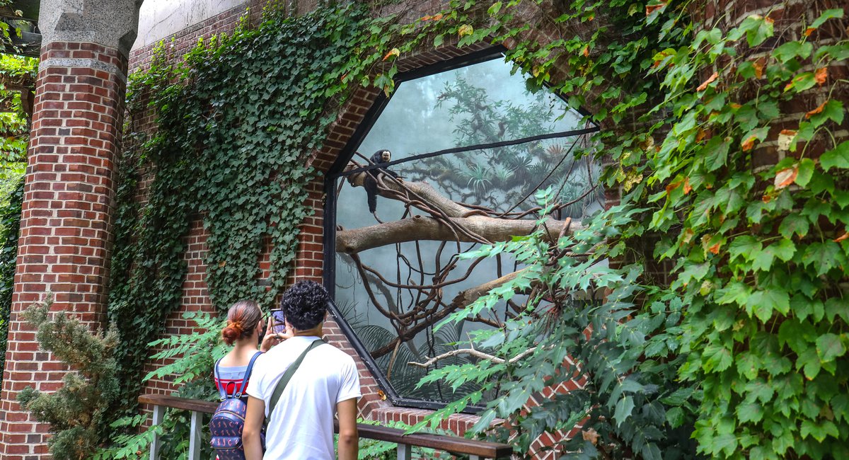 Central Park Zoo Tourist's Book