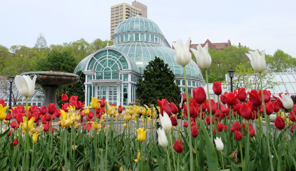 Brooklyn Botanic Gardens Parks in New York City