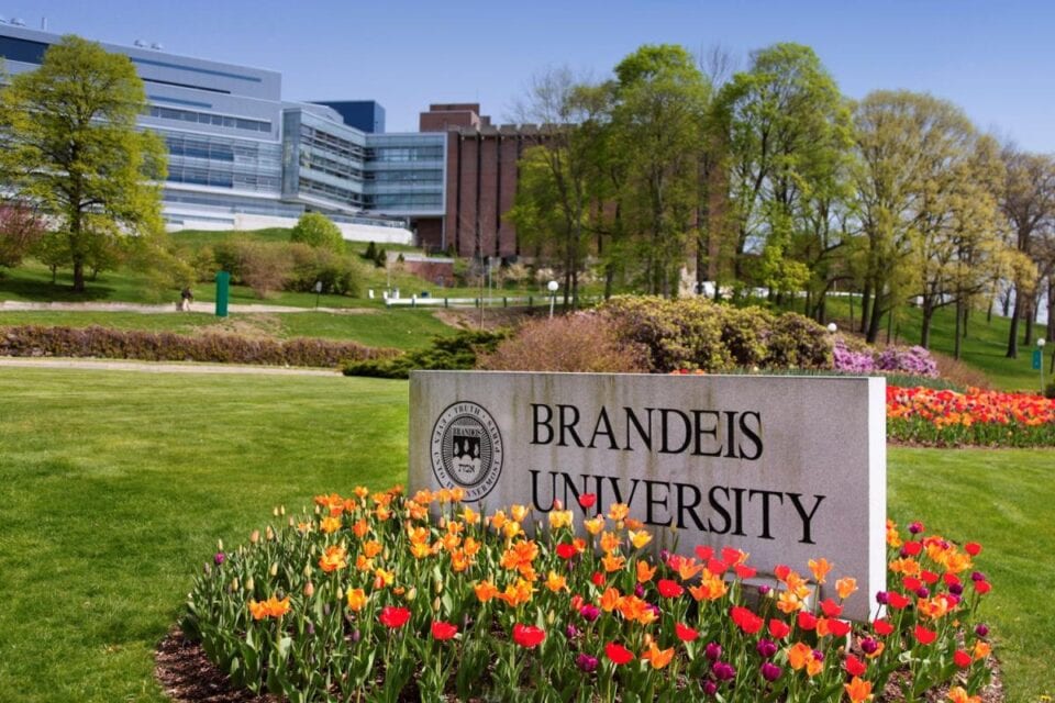 brandeis college tour